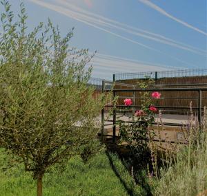 Ogród w obiekcie Casa Rural Lavanda con Piscina