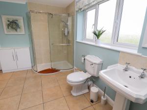 a bathroom with a toilet and a shower and a sink at Eggleston in Hull