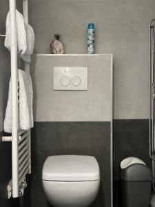 een kleine badkamer met een toilet en een plank met twee olympische spelen bij Duplex situé a 2min de la gare du nord in Brussel