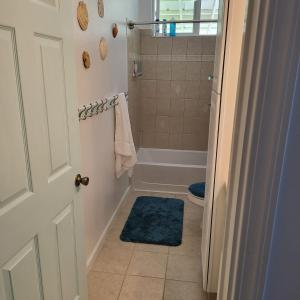La salle de bains est pourvue d'une douche et d'un tapis bleu. dans l'établissement Hoomaikai Blessings, à Keaau