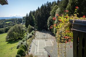 Tenis dan/atau kemudahan skuasy di Hotel Tisa Pohorje atau berdekatan