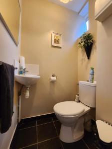 bagno con servizi igienici e lavandino di Apartment Bonnard - best view in Dijon a Digione