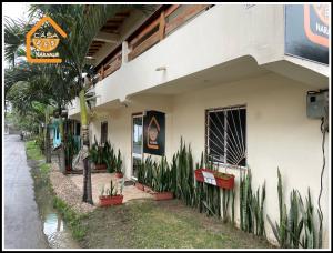 un edificio con plantas a su lado en Bed and Breakfast La Casa Naranja, en Olón