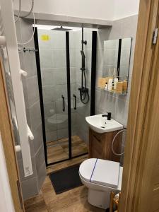a bathroom with a shower and a toilet and a sink at Paris Apartments in Katowice