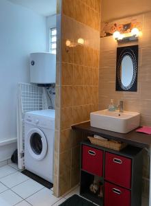 een badkamer met een wasmachine en een wastafel bij f3 location saisonnière détente tranquillité et belle vue in Les Trois-Îlets