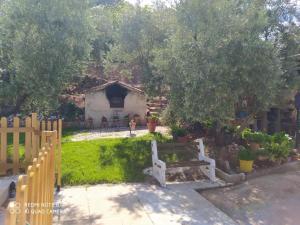 a yard with a wooden fence and a house at Cortijo las lagunillas in La Puerta de Segura