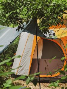 Gallery image of Cayuco Camping Barú in Baru