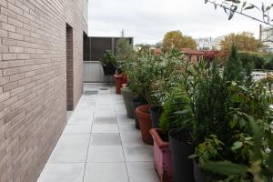 a row of plants in pots on a balcony at Appart Chic & Elégant-Métro 7 Leo-Lagrange+Parking in Villejuif