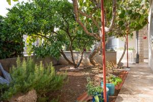 Ein Garten an der Unterkunft Twin Room Marina 5953a