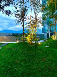 un patio de césped con un árbol y un edificio en Único Apartamento en Nuevo y Moderno Condominio, en San José