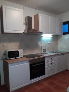 Kuchyňa alebo kuchynka v ubytovaní Apartments by the sea Sladjenovici, Dubrovnik - 11531 + 14 fotografií