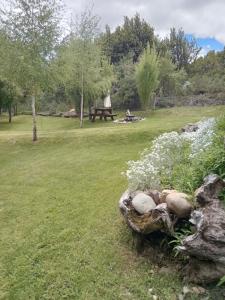 サン・マルティン・デ・ロス・アンデスにあるcabaña meliquina Minihouseの芝生の上にピクニックテーブルがある公園