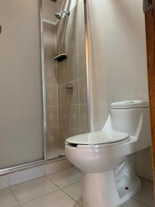 a bathroom with a toilet and a shower at Quito Downtown View Point Studio in Quito +7 photos