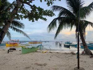 a beach with boats in the water and a palm tree at Cardo's Front Beach Room in General Luna