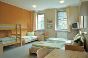 Кровать или кровати в номере Hostel Lípa - Továrna