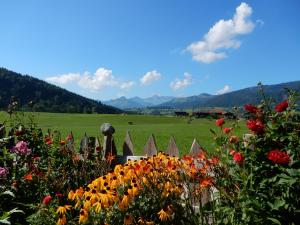 a garden with flowers and a fence in a field at Gästehaus Schönfeld in Reit im Winkl