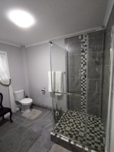 a bathroom with a shower and a toilet at Coastal Cottage in Klein Brak Rivier