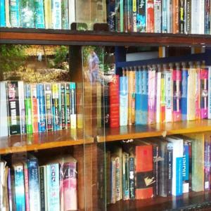 a book shelf filled with lots of books at PARVATI MANDREM in Mandrem