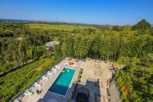 una vista sul soffitto di una piscina con sedie e alberi di Мини - ГОСТИНИЦА "ЛЮБИМЫЙ ДОМ" a Tsikhisdziri