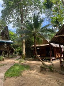 a palm tree in front of a building at Sanctuary Lanta in Ko Lanta