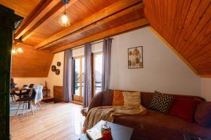 een woonkamer met een bruine bank en houten plafonds bij Cottage Gordana in Begovo Razdolje