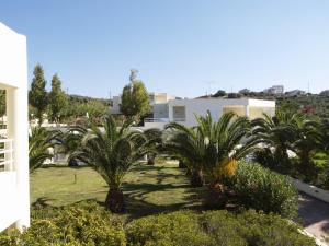Zahrada ubytování Eleftheria Hotel