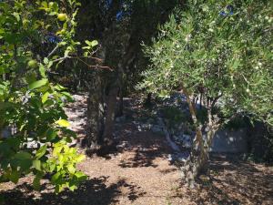 Vonkajšia záhrada v ubytovaní Holiday Home Božo