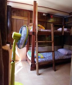a room with two bunk beds with a fan at Cactus Hostel in Chiang Mai