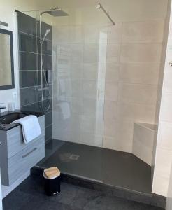 baño con ducha y puerta de cristal en Logis Hôtel Le Saint Florent, en Mont-près-Chambord