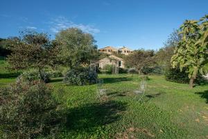 einen Garten mit Stühlen vor einem Haus in der Unterkunft Celestina- Agriturismo La Valentina in Talamone