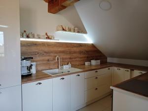 a kitchen with a sink and a wooden wall at Barytowy apartament in Tarnowskie Góry +35 photos
