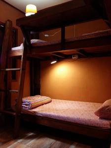 a bedroom with two bunk beds in a room at Cactus Hostel in Chiang Mai