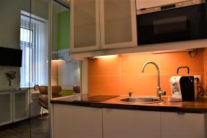 Küche/Küchenzeile in der Unterkunft Studio-Apartment Augarten