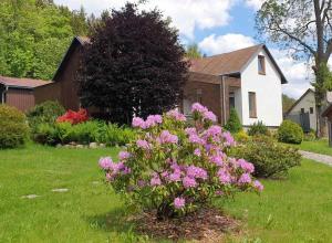 uma casa com flores cor-de-rosa no quintal em Rodinné apartmány Rafael Bedřichov em Bedřichov