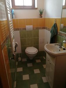 La salle de bains est pourvue de toilettes et d'un lavabo. dans l'établissement Chalupa Rejvíz, à Rejvíz