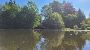 a house in the middle of a lake with trees at Gut Hanerau, Eschenufer keine Monteure in Hanerau-Hademarschen