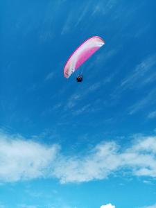 Un parachute rose vole dans le ciel dans l'établissement La Maison de Juliette, à Granville