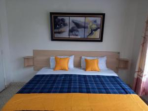 Bett mit blauen und orangefarbenen Kissen in einem Zimmer in der Unterkunft THE PLANTAINS PLACE in Karatina