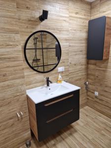 a bathroom with a sink and a mirror at Apartament Roztropice in Roztropice