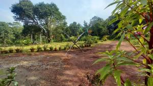 a garden with plants in a dirt field at Dharti - The Glamping Haven by StayApart in Bijanbāri Bāzār
