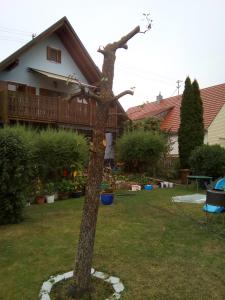 een boom in de tuin van een huis bij Villa Blue in Nördlingen