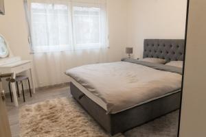 斯拉沃尼亞布羅德的住宿－Apartman Škrinjar，一间卧室设有床、窗户和地毯。