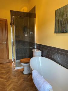 a bathroom with a bath tub and a toilet at Glengorm Castle in Tobermory