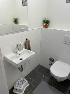 Baño blanco con lavabo y aseo en Ferienwohnung Edelbach Deluxe, en Sattendorf