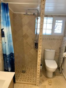 La salle de bains est pourvue d'une douche et de toilettes. dans l'établissement Appartement FredMart, à Mougins