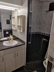 a bathroom with a sink and a shower at Slavija Square Apartment Cvetni Trg in Belgrade