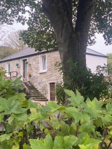 una casa de piedra con un árbol delante en Orkney Staycations - Thorvald, en Finstown