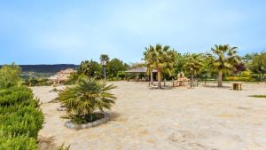 阿里亞特的住宿－Minerva Arriate by Ruralidays，棕榈树和凉亭的沙滩区