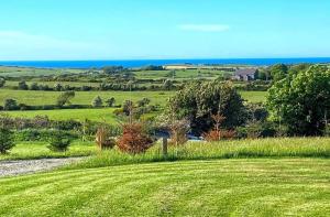 a field of green grass with the ocean in the background at Stunning Cottage in Holyhead in Holyhead