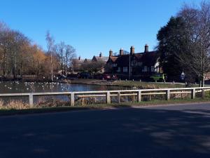a fence next to a river with ducks in it at Beautiful romantic village house retreat in Chester +15 photos